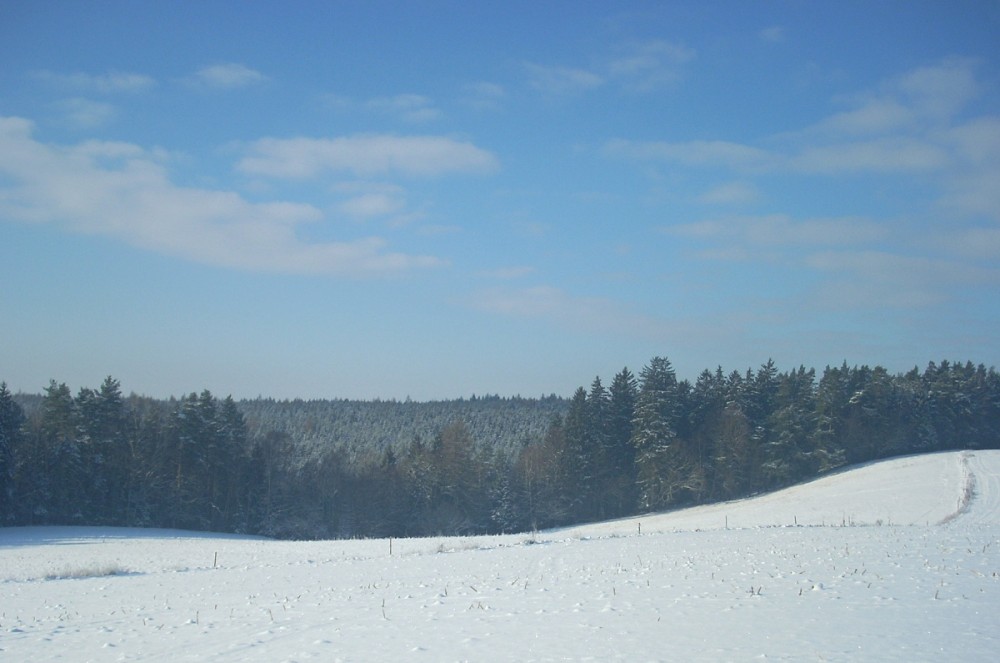 U nás v zimě 2012