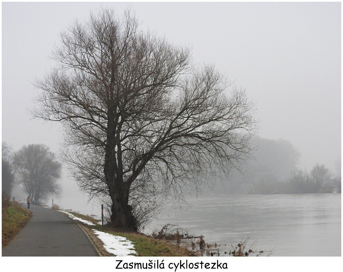 01-cyklostezka.jpg