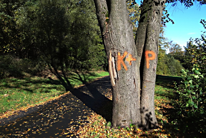 První láska