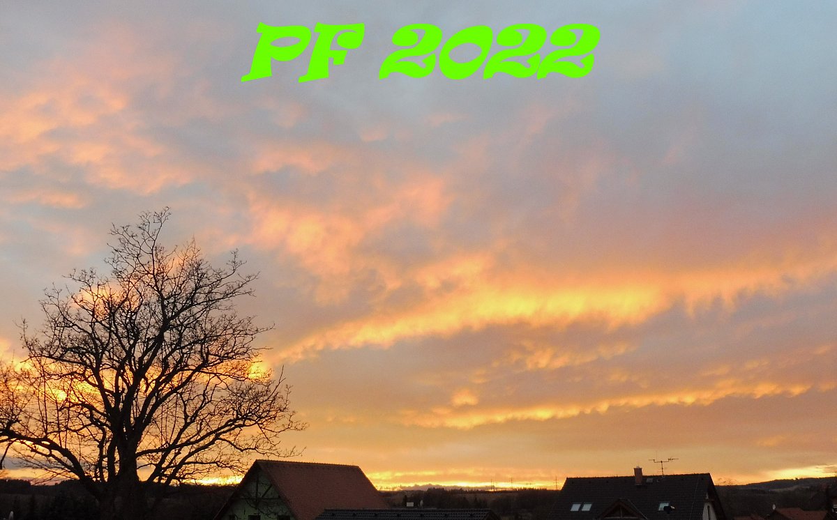 PF 2022