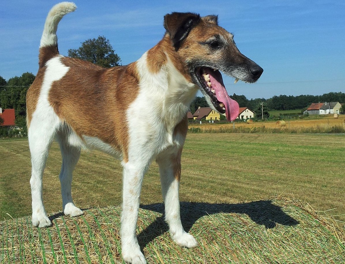S Brixem v nejlepším životním období
