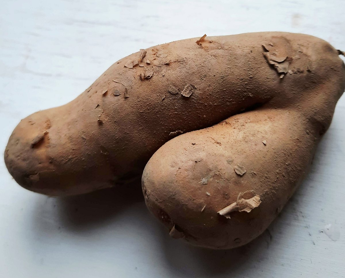 ????   *
