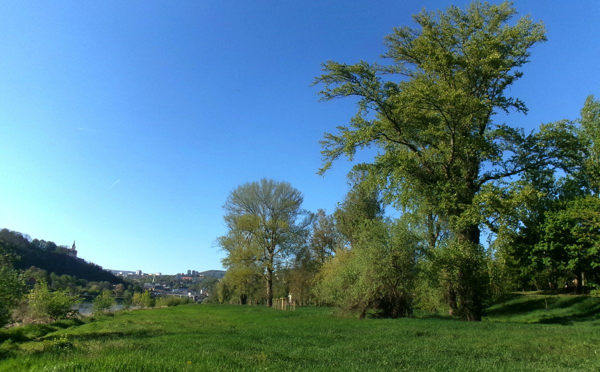 Zelený květen*