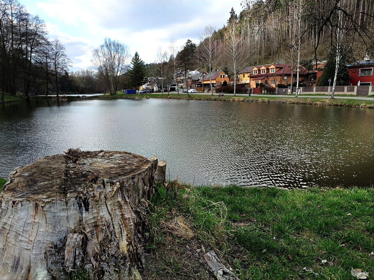 Rybník za pařezem