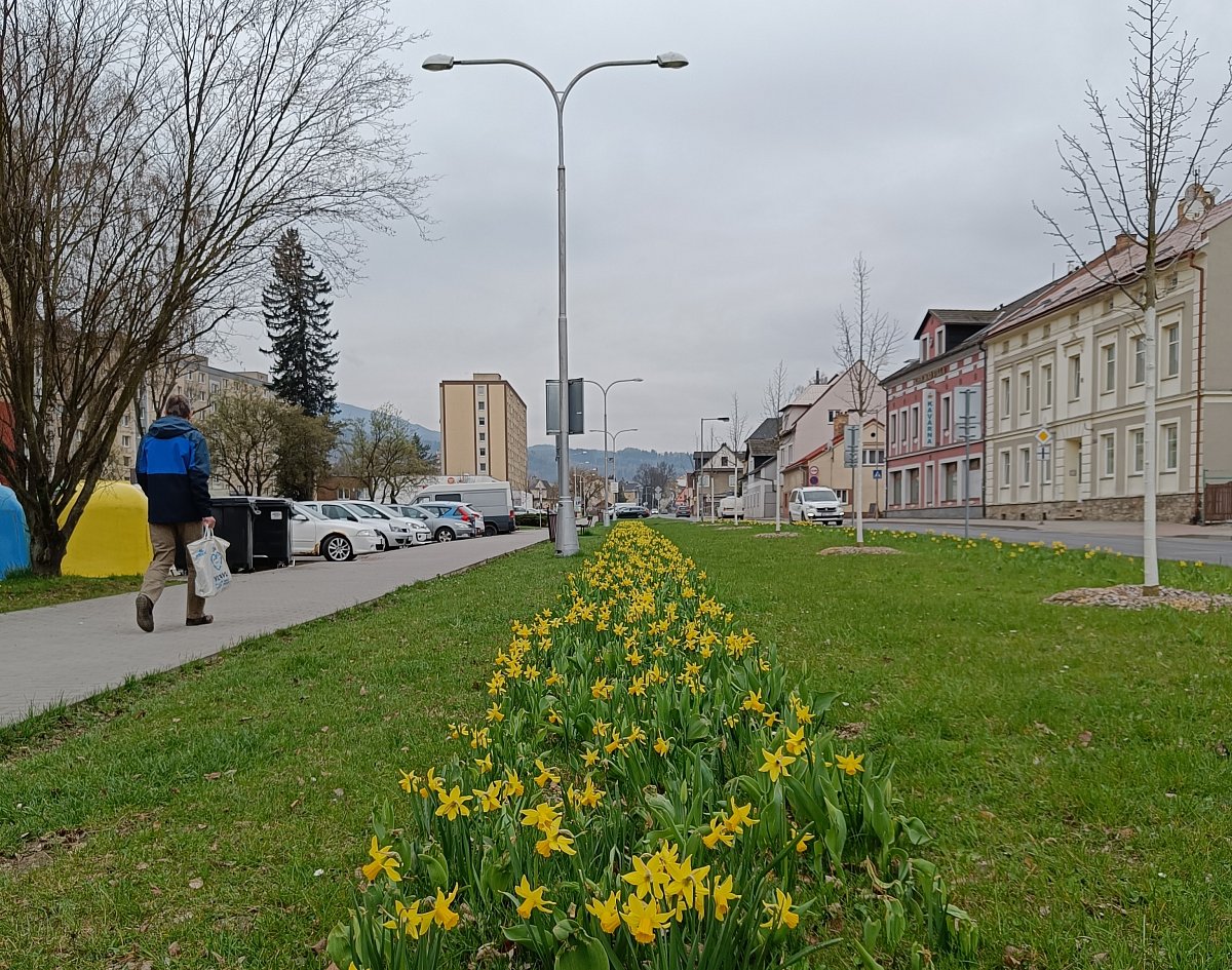 Nesměle rozjařený Jeseník*