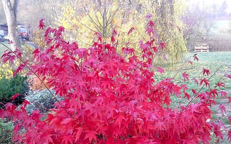 Chvála a obrana podzimu