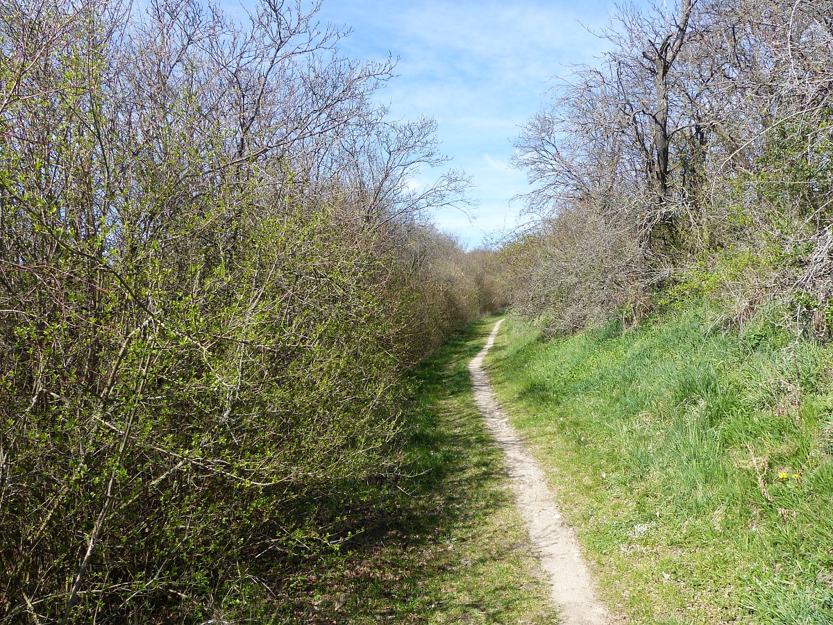 Pěšinkou...