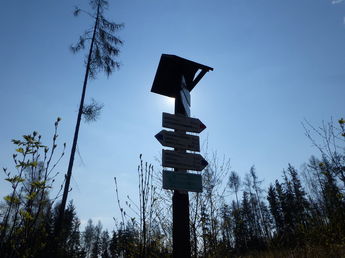 Tak kam to bude ??