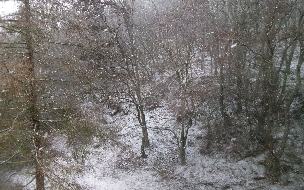 245-5222.jpg