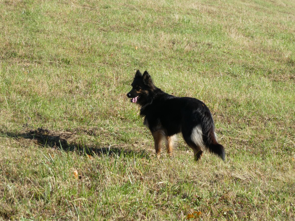 p1050525.jpg