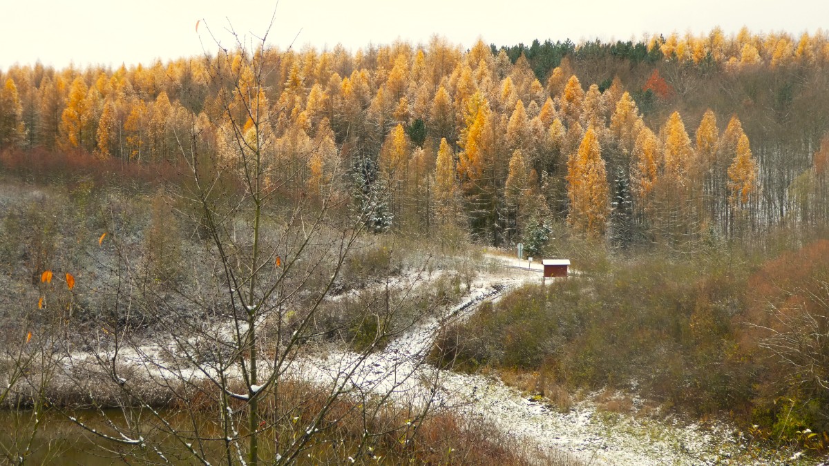 p1130234.jpg