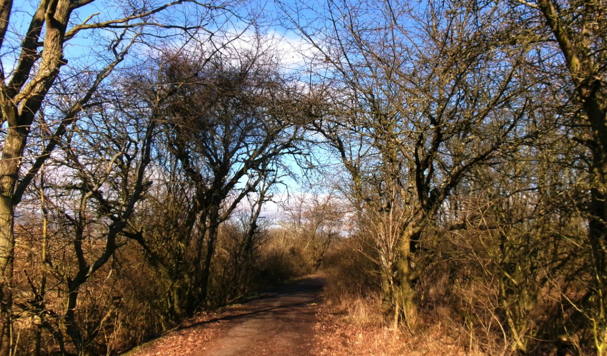 245-5544.jpg