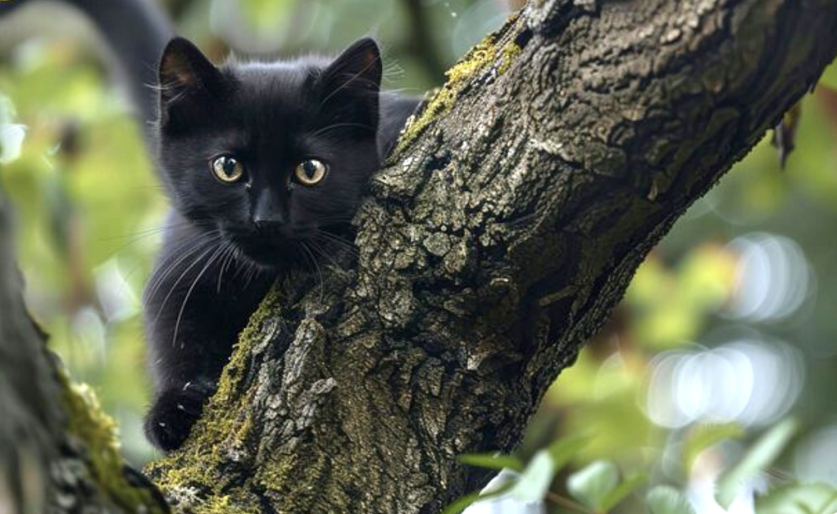 Jak jsem se srazil s nepříjemnou ženskou
