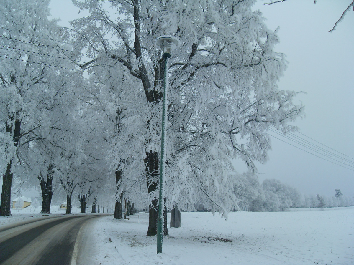 Takové cesty jsou pro mne skutečně tou nejpůvabnější a nejkouzelnější pohádkou - tím nejkrásnějším dárkem, který nám občas spadá úplně zdarma z nebe