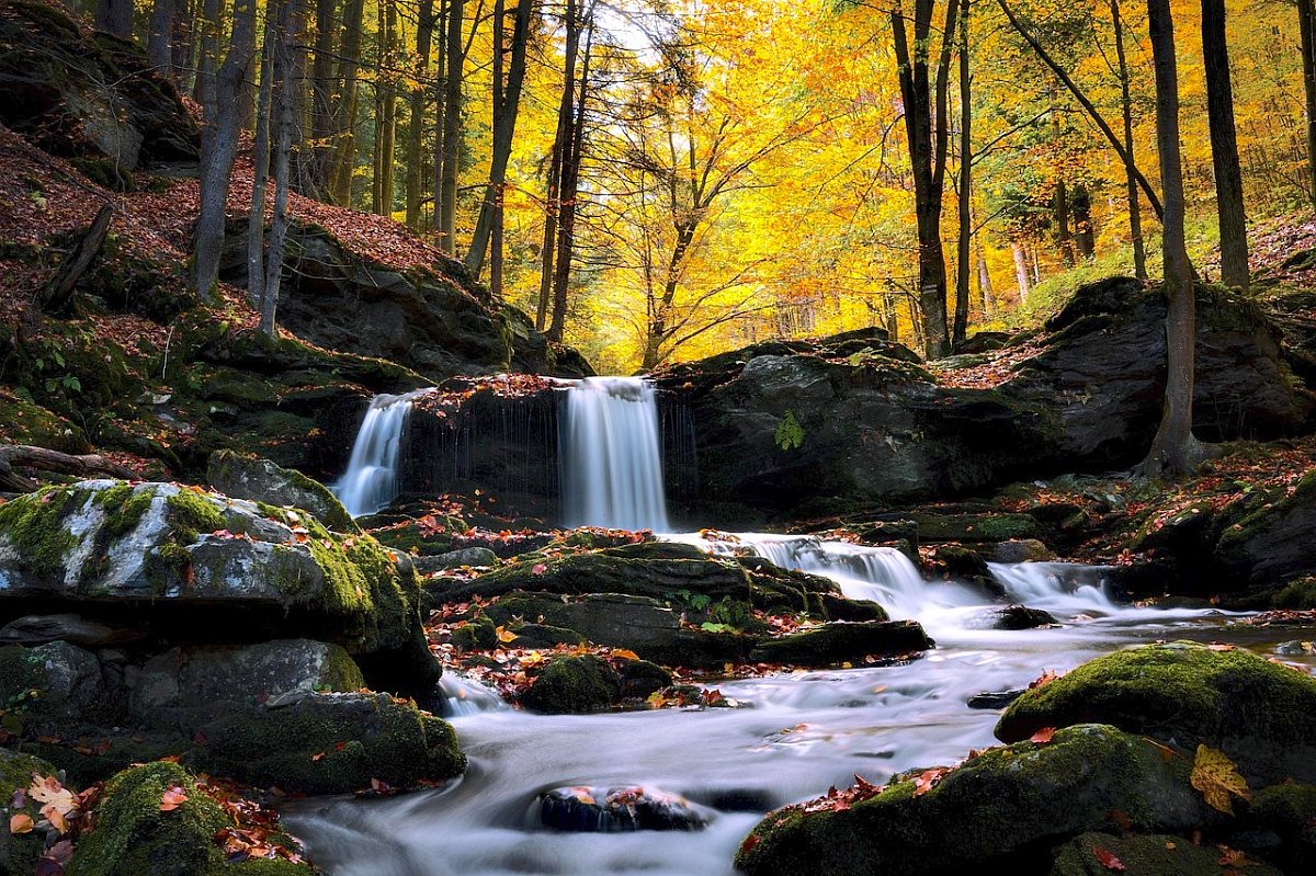 Zápisník starého muže: Ještě nerostou aneb Žena má vždycky pravdu