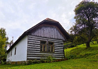 12-468.jpg