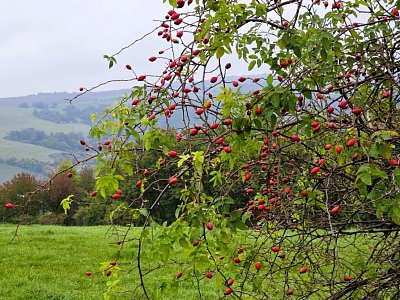 20251010-120225.jpg