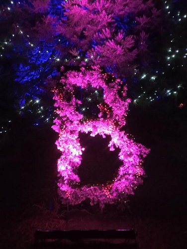 Světelná výstava Praha - Troja