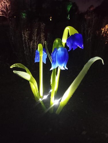 Světelná výstava Praha - Troja